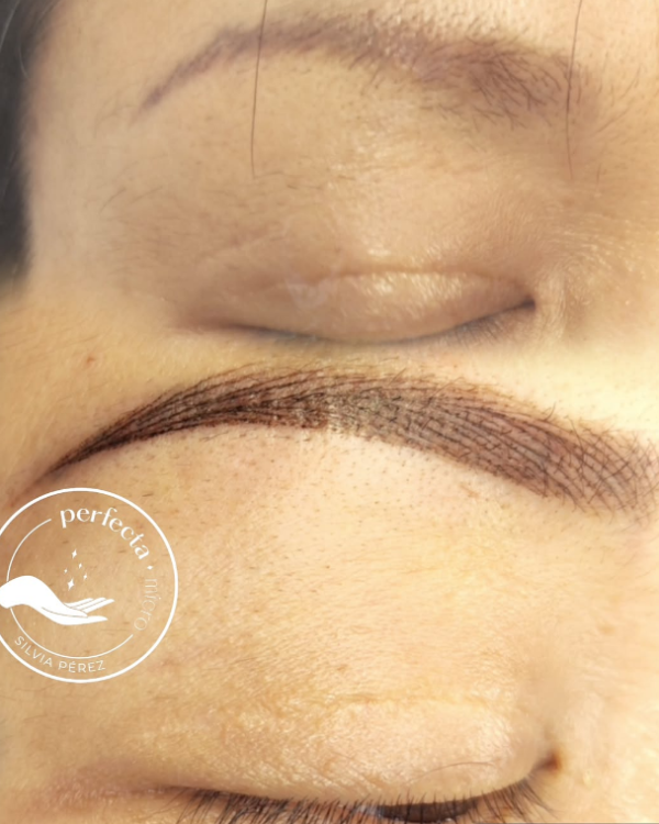 cejas11